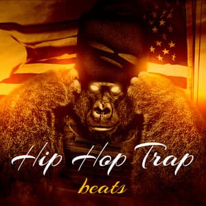 Hip Hop Trap Beats - Bass Block