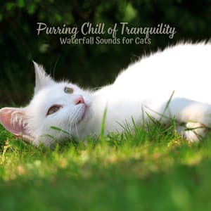 Purring Chill of Tranquility: Waterfall Sounds for Cats - Water Sounds