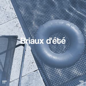 Briaux d'été - Beats De Rap