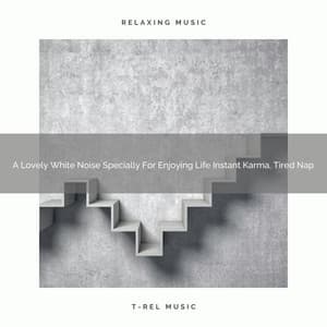 A Lovely White Noise Specially For Enjoying Life Instant Karma, Tired Nap - Fan Brown Noises