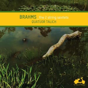 Brahms: The 2 String Sextets - Johannes Brahms