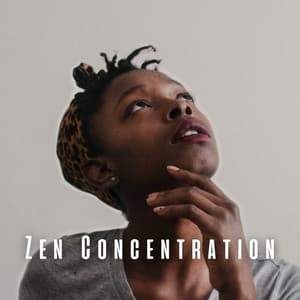 Zen Concentration: Lofi Music for Mindful Contemplation - Lofi Quality Content
