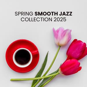 Spring Smooth Jazz Collection 2025 - BGM Chilled Jazz Collection