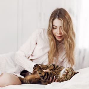 Harmonic Cat Sanctuary: Ambient Music for Serene Moments - Cat Musi