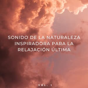 Sonido De La Naturaleza Inspiradora Para La Relajación Última Vol. 1 - NatuREM