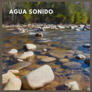 Agua Sonido - Sonidos De Agua