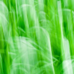 Backdrop for Earthly Relaxation - Smooth Morning Jazz