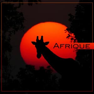 Afrique - Musique ethnique, Rythme africain, Détente avec musiques du monde, Percussions traditionnelles - Club de Méditer et Détendre