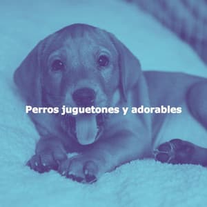 Perros juguetones y adorables - Jazz Chill Out Lounge