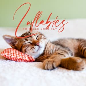 Lullabies to Relax Your Cats - Puppy Sleep Music, Relieve Anxiety, Deep Relaxation - Pet Care Club