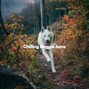 Chilling Doggie Jams - Dog Calming Music