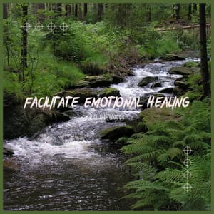 Facilitate Emotional Healing - Everlight