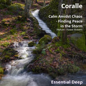 Calm Amidst Chaos - Finding Peace In The Storm - Coralle