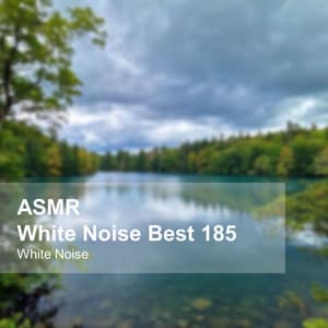 White Noise ASMR Best 185 - White Noise