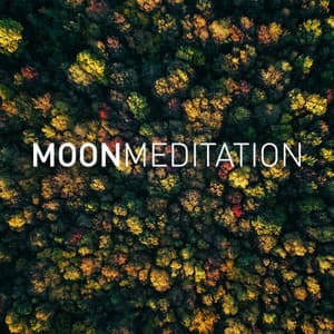 Moon Sleep - Relaxing Music