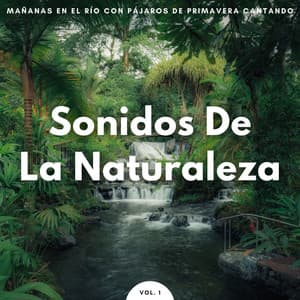Sonidos De La Naturaleza: Mañanas En El Río Con Pájaros De Primavera Cantando Vol. 1 - Efectos de agua