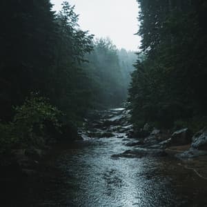 Bebé Somnoliento Marrón Ruido para Descansar - Android de ruido blanco