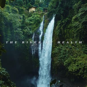 The River Of Health - Maree Docia