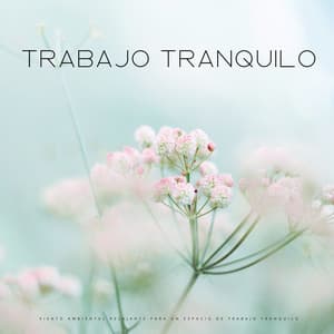 Viento Ambiental Relajante Para Un Espacio De Trabajo Tranquilo - Trabajar desde Casa Background Musica