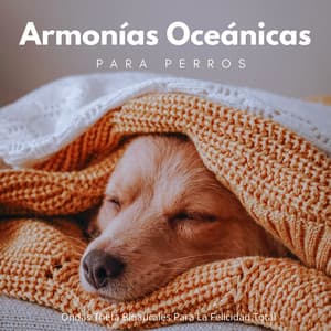 Armonías Oceánicas Para Perros: Ondas Theta Binaurales Para La Felicidad Total - Bob binaural