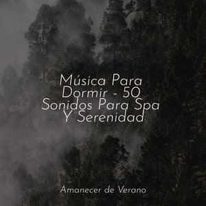 Música Para Dormir - 50 Sonidos Para Spa Y Serenidad - Bedtime Baby