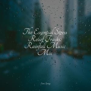 The Essential Stress Relief Tracks: Rainfall Music Mix - Natural Samples
