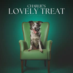Charlie's Lovely Treat - Relaxing Music for Dogs