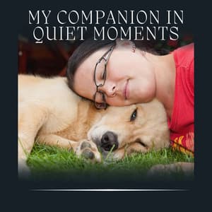 My Companion in Quiet Moments - Dog Sleep Academy