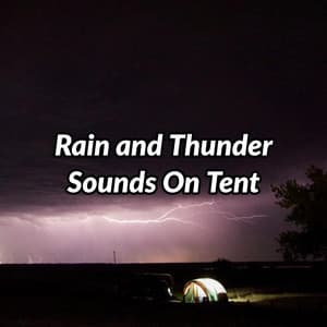 Rain and Thunder Sounds on Tent - Australian Nature
