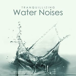 Tranquillizing Water Noises - Sounds of Nature Kingdom