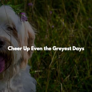 Cheer Up Even the Greyest Days - Música para Restaurantes Listas De Reproducción