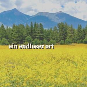 Ein Endloser Ort - Heilende Geräusche Der Natur Academie