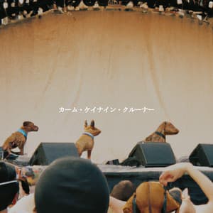 カーム・ケイナイン・クルーナー - Lunch Time Jazz