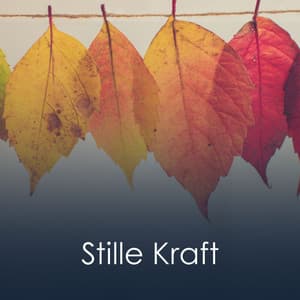 Stille Kraft - Klangschalenmeditation