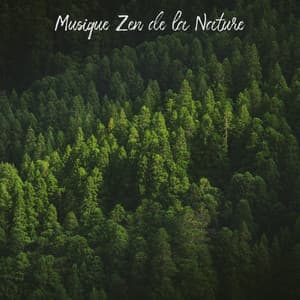 Musique zen de la nature - Musique Zen Garden