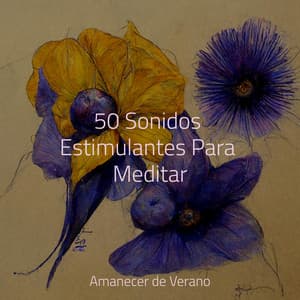 50 Sonidos Estimulantes Para Meditar - Musica Romantica