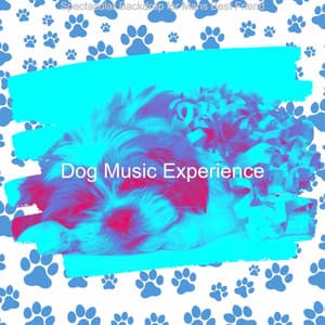 Spectacular Backdrop for Mans Best Friend - Dog Music Experience