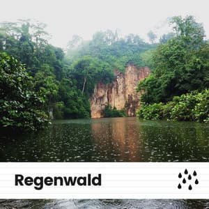 Regenwald - Regen zum Schlafen
