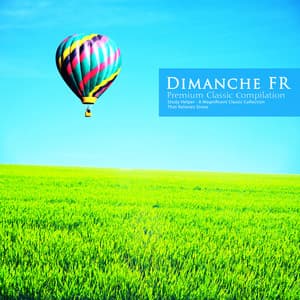 A Magnificent Classic Collection That Relieves Stress - Dimanche FR