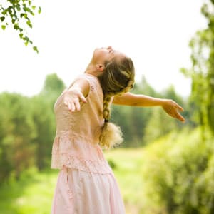 Nature's Melodies: A Symphony of Peaceful Tranquility - Nature Of Sweden