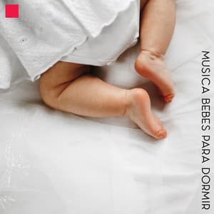 Musica Bebés para Dormir: Sonidos Relajantes de la Naturaleza, Mar, Lluvia, Agua, Sueño Profundo - Zona Música Relaxante