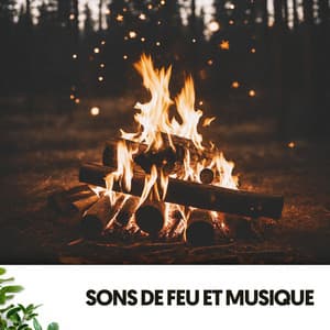 Sons de Feu et Musique: Flammes de Paix - Cat Music Therapy