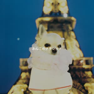 わんこのクラシック - Tranquilo Café Música