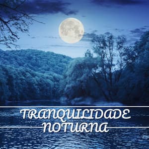 Tranquilidade Noturna: Uma Jornada de Relaxamento Profundo com os Melhores Sons Ambientes para Dormir e Meditar - Relaxamento Soundscape