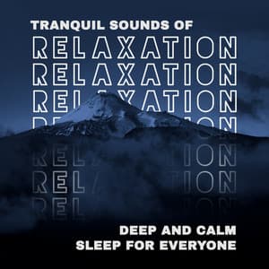 Tranquil Sounds of Relaxation : Deep and Calm Sleep for Everyone - Sleep New Age Master