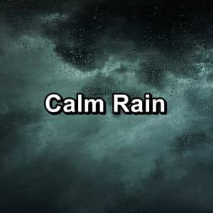 Calm Rain - Heavy Rain Sounds