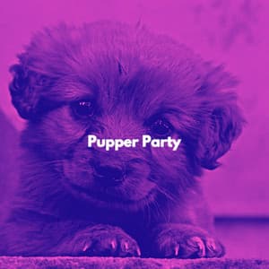 Pupper Party - Cafe Jazz BGM