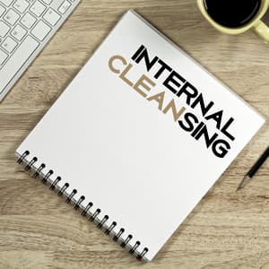 Internal Cleansing – Music for Learning, Meditations 2018 - Study Focus