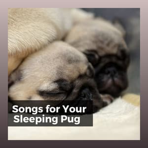 Songs for Your Sleeping Pug - Pet Care Music Therapy