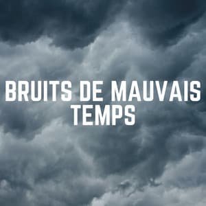Bruits de Mauvais Temps - Orage HD